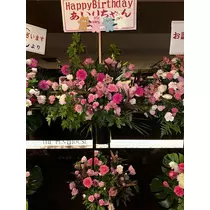 白石 愛莉