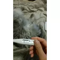 りか