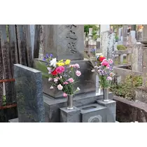 梨奈