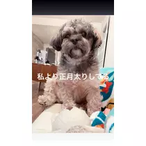 水城 百合