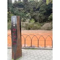 佐野 エマ