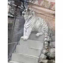 みさき