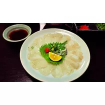高梨 雪乃