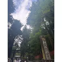 ひめ