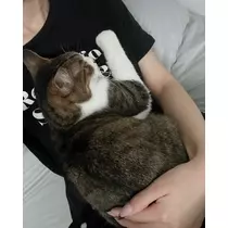 メイ