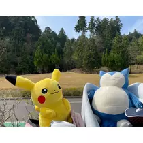 まゆか
