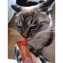ひな