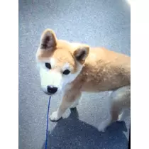 みり