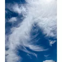 咲良 水月