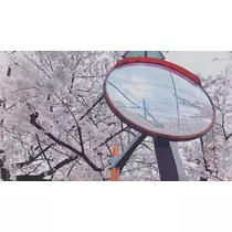 さや