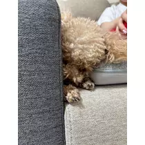 あいりちゃん