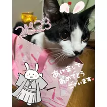 RYO
