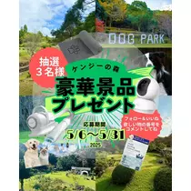 みこ