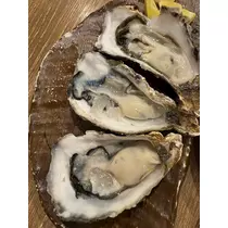 咲良 水月