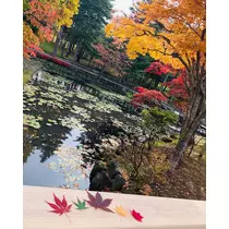 ありす