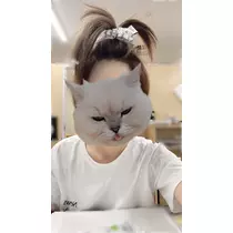 ゆか