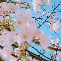 一咲 エム