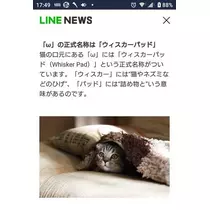 ひな