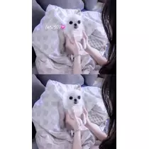 もも