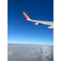 らん