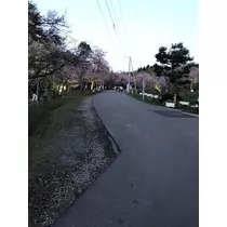 長瀬 純恋