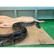 そら