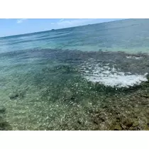 しゅり