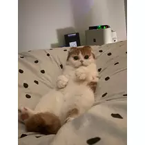 るな