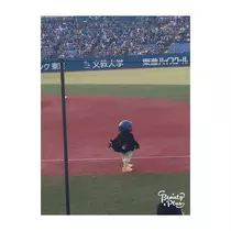 蓮