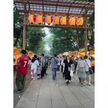 あおい