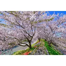 神崎　唯
