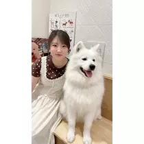 しおり