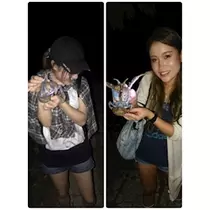 愛羽 仁美