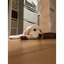 片桐 さやか