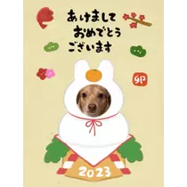 美月