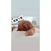 水城 百合