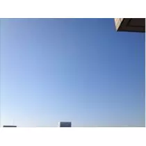 りな