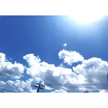 りん