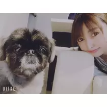 夏目 梨仔