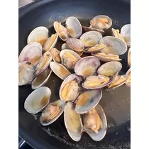 神崎 蘭