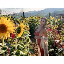 夏姫