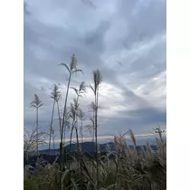 華宮 りんか
