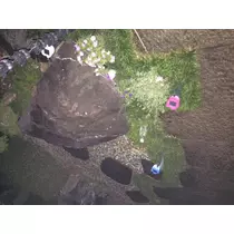 妃 えりか