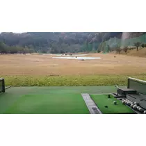 美穂