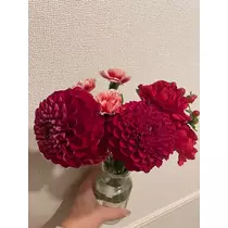 美月