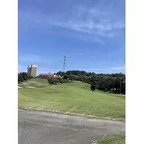まりん