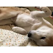 雨宮 由理香