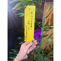 かずき