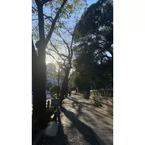きょうか