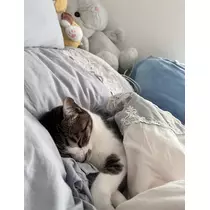 鈴音 はく